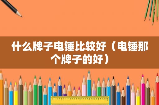 什么牌子电锤比较好（电锤那个牌子的好）