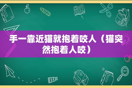 手一靠近猫就抱着咬人（猫突然抱着人咬）