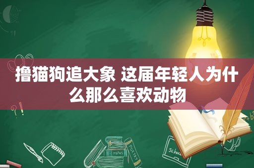 撸猫狗追大象 这届年轻人为什么那么喜欢动物