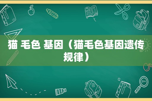 猫 毛色 基因（猫毛色基因遗传规律）