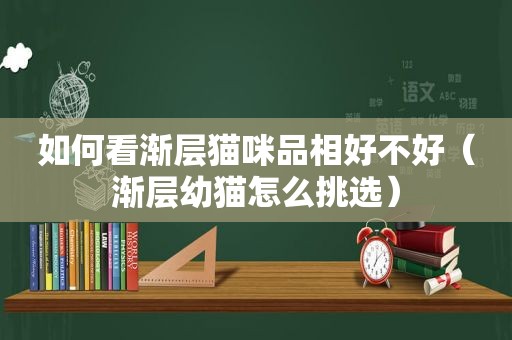 如何看渐层猫咪品相好不好（渐层幼猫怎么挑选）