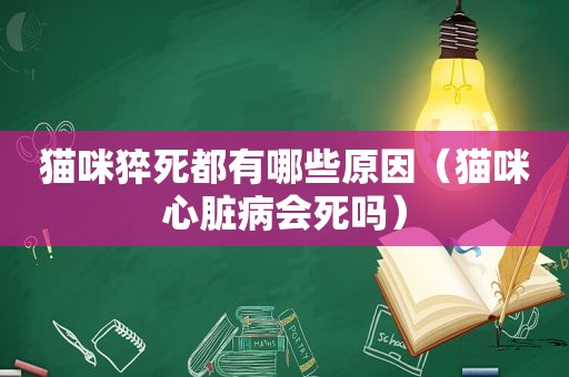 猫咪猝死都有哪些原因（猫咪心脏病会死吗）