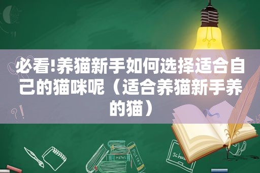 必看!养猫新手如何选择适合自己的猫咪呢（适合养猫新手养的猫）