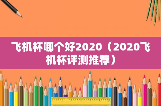 飞机杯哪个好2020（2020飞机杯评测推荐）