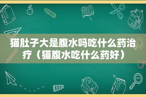 猫肚子大是腹水吗吃什么药治疗（猫腹水吃什么药好）