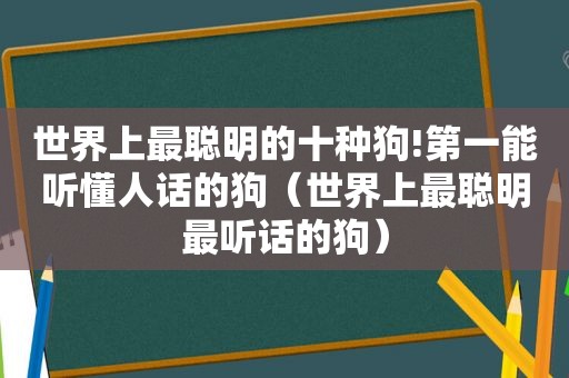 世界上最聪明的十种狗!第一能听懂人话的狗（世界上最聪明最听话的狗）