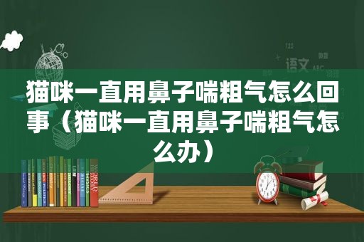 猫咪一直用鼻子喘粗气怎么回事（猫咪一直用鼻子喘粗气怎么办）