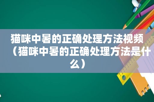 猫咪中暑的正确处理方法视频（猫咪中暑的正确处理方法是什么）