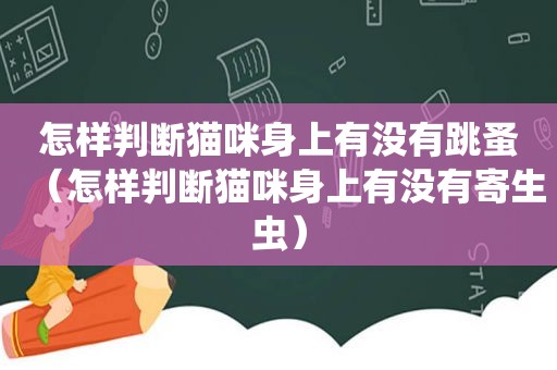 怎样判断猫咪身上有没有跳蚤（怎样判断猫咪身上有没有寄生虫）