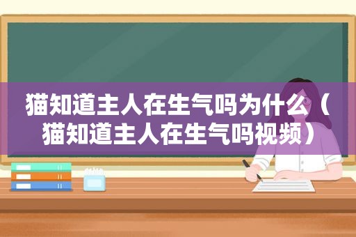 猫知道主人在生气吗为什么（猫知道主人在生气吗视频）