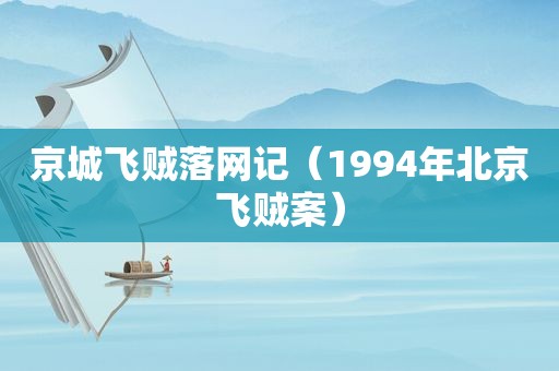 京城飞贼落网记（1994年北京飞贼案）