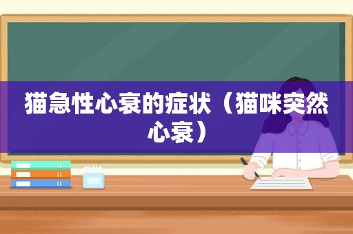 猫急性心衰的症状（猫咪突然心衰）