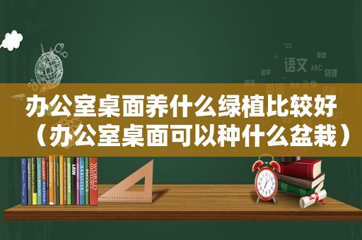 办公室桌面养什么绿植比较好（办公室桌面可以种什么盆栽）