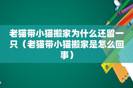 老猫带小猫搬家为什么还留一只（老猫带小猫搬家是怎么回事）