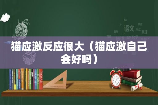 猫应激反应很大（猫应激自己会好吗）