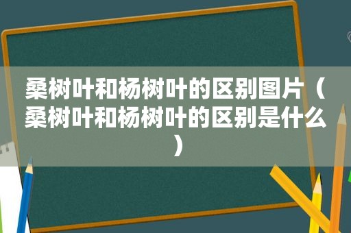 桑树叶和杨树叶的区别图片（桑树叶和杨树叶的区别是什么）