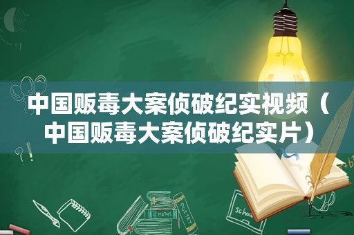 中国 *** 大案侦破纪实视频（中国 *** 大案侦破纪实片）