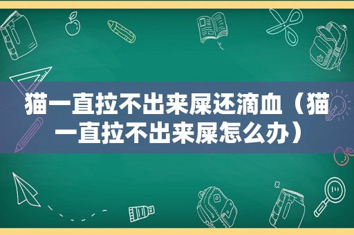 猫一直拉不出来屎还滴血（猫一直拉不出来屎怎么办）