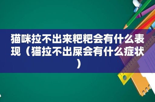 猫咪拉不出来粑粑会有什么表现（猫拉不出屎会有什么症状）