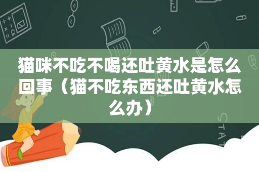 猫咪不吃不喝还吐黄水是怎么回事（猫不吃东西还吐黄水怎么办）