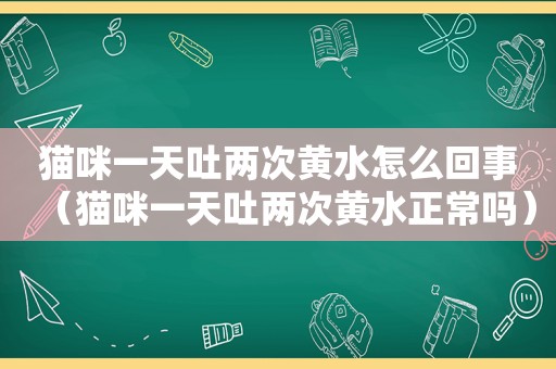 猫咪一天吐两次黄水怎么回事（猫咪一天吐两次黄水正常吗）