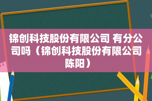 锦创科技股份有限公司 有分公司吗（锦创科技股份有限公司 陈阳）