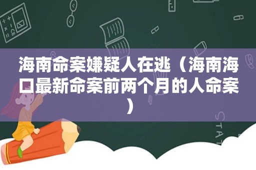 海南命案嫌疑人在逃（海南海口最新命案前两个月的人命案）