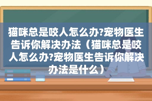 猫咪总是咬人怎么办?宠物医生告诉你解决办法（猫咪总是咬人怎么办?宠物医生告诉你解决办法是什么）