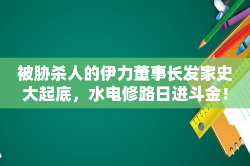 被胁杀人的伊力董事长发家史大起底，水电修路日进斗金！