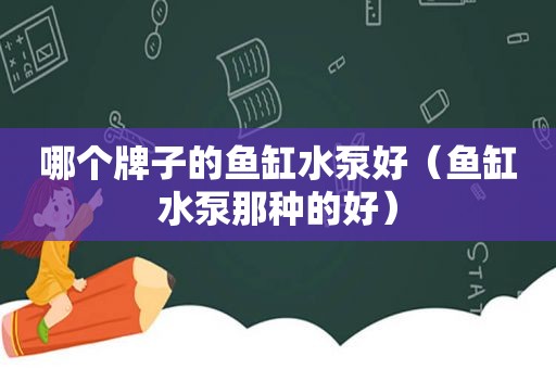 哪个牌子的鱼缸水泵好（鱼缸水泵那种的好）