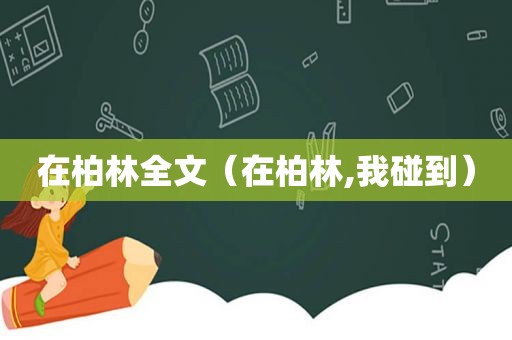 在柏林全文（在柏林,我碰到）