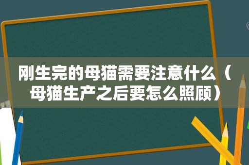 刚生完的母猫需要注意什么（母猫生产之后要怎么照顾）