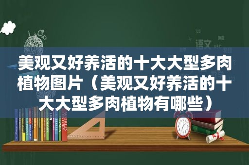 美观又好养活的十大大型多肉植物图片（美观又好养活的十大大型多肉植物有哪些）