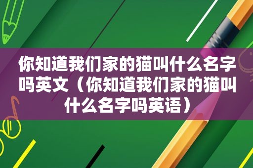 你知道我们家的猫叫什么名字吗英文（你知道我们家的猫叫什么名字吗英语）