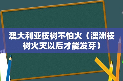 澳大利亚桉树不怕火（澳洲桉树火灾以后才能发芽）