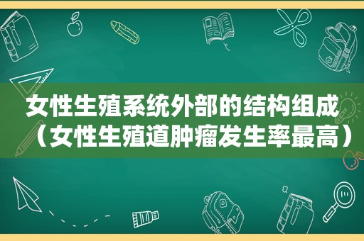 女性生殖系统外部的结构组成（女性生殖道肿瘤发生率最高）