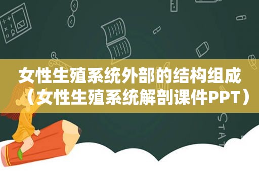 女性生殖系统外部的结构组成（女性生殖系统解剖课件PPT）