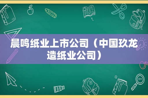 晨鸣纸业上市公司（中国玖龙造纸业公司）