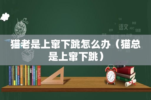 猫老是上窜下跳怎么办（猫总是上窜下跳）