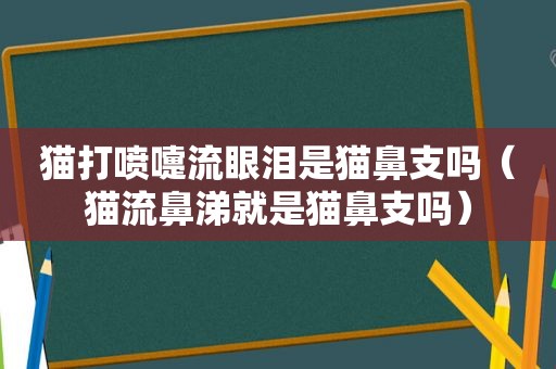 猫打喷嚏流眼泪是猫鼻支吗（猫流鼻涕就是猫鼻支吗）