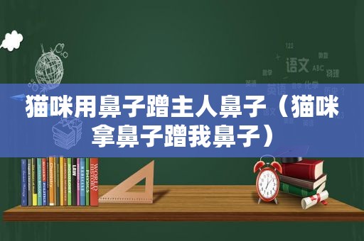 猫咪用鼻子蹭主人鼻子（猫咪拿鼻子蹭我鼻子）