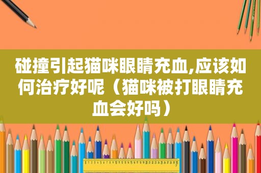 碰撞引起猫咪眼睛充血,应该如何治疗好呢（猫咪被打眼睛充血会好吗）