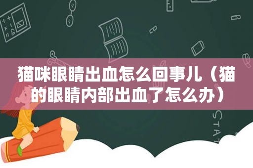 猫咪眼睛出血怎么回事儿（猫的眼睛内部出血了怎么办）