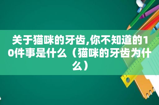 关于猫咪的牙齿,你不知道的10件事是什么（猫咪的牙齿为什么）