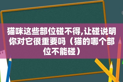 猫咪这些部位碰不得,让碰说明你对它很重要吗（猫的哪个部位不能碰）