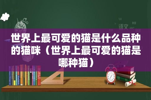 世界上最可爱的猫是什么品种的猫咪（世界上最可爱的猫是哪种猫）