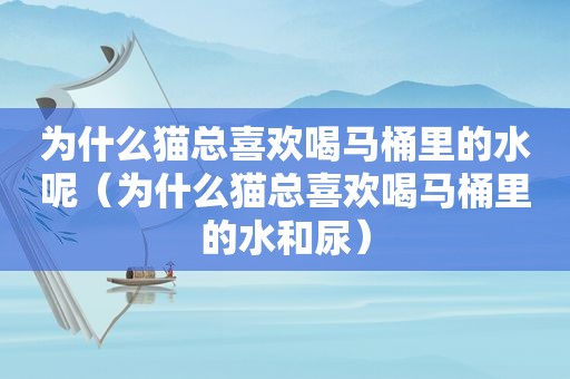 为什么猫总喜欢喝马桶里的水呢（为什么猫总喜欢喝马桶里的水和尿）