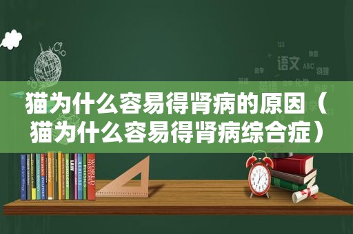 猫为什么容易得肾病的原因（猫为什么容易得肾病综合症）