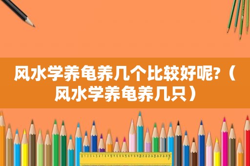 风水学养龟养几个比较好呢?（风水学养龟养几只）