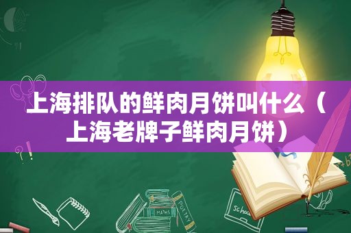 上海排队的鲜肉月饼叫什么（上海老牌子鲜肉月饼）